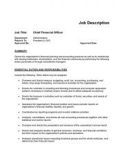 Job20description Example20for20cfo 1