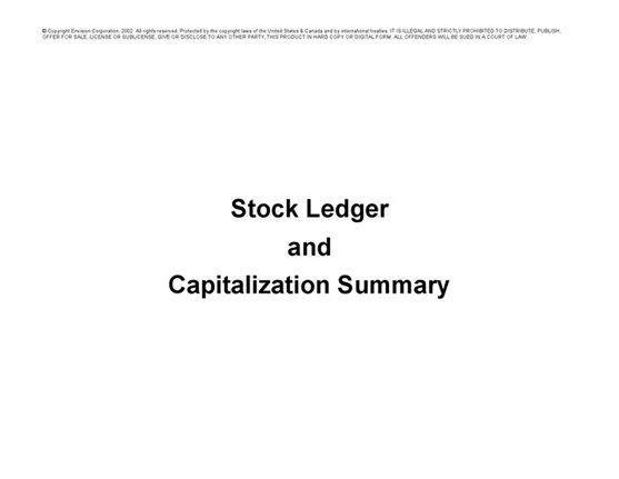 Stock20ledger20and20capitalization20summary 1