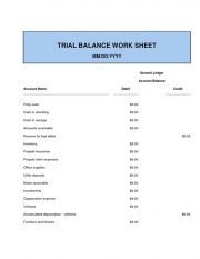 Trial20balance20trial20balance20worksheet 1